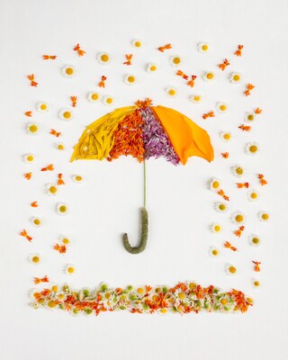 April Showers, May Flowers - Art Print Made from Nature - Cute, Colorful, Whimsical Umbrella Home Decor Made from Flowers, Unique, Children - image1